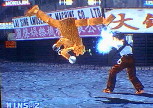 [Mokujin pic 2]